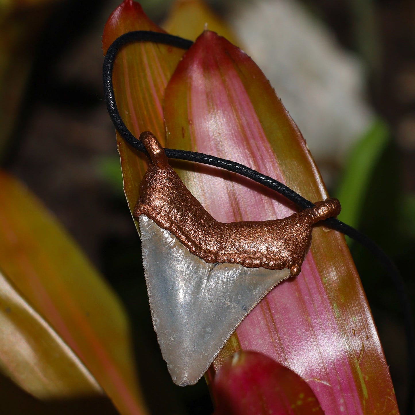 Florida Fossil MEGALODON Shark Tooth Necklace Copper Pendant