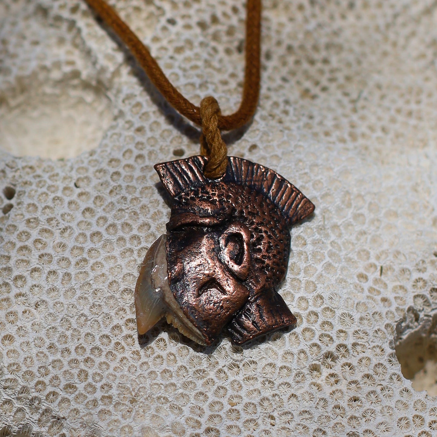 Warrior Sacred Huntsman Collection Florida Fossil Tiger Shark Tooth