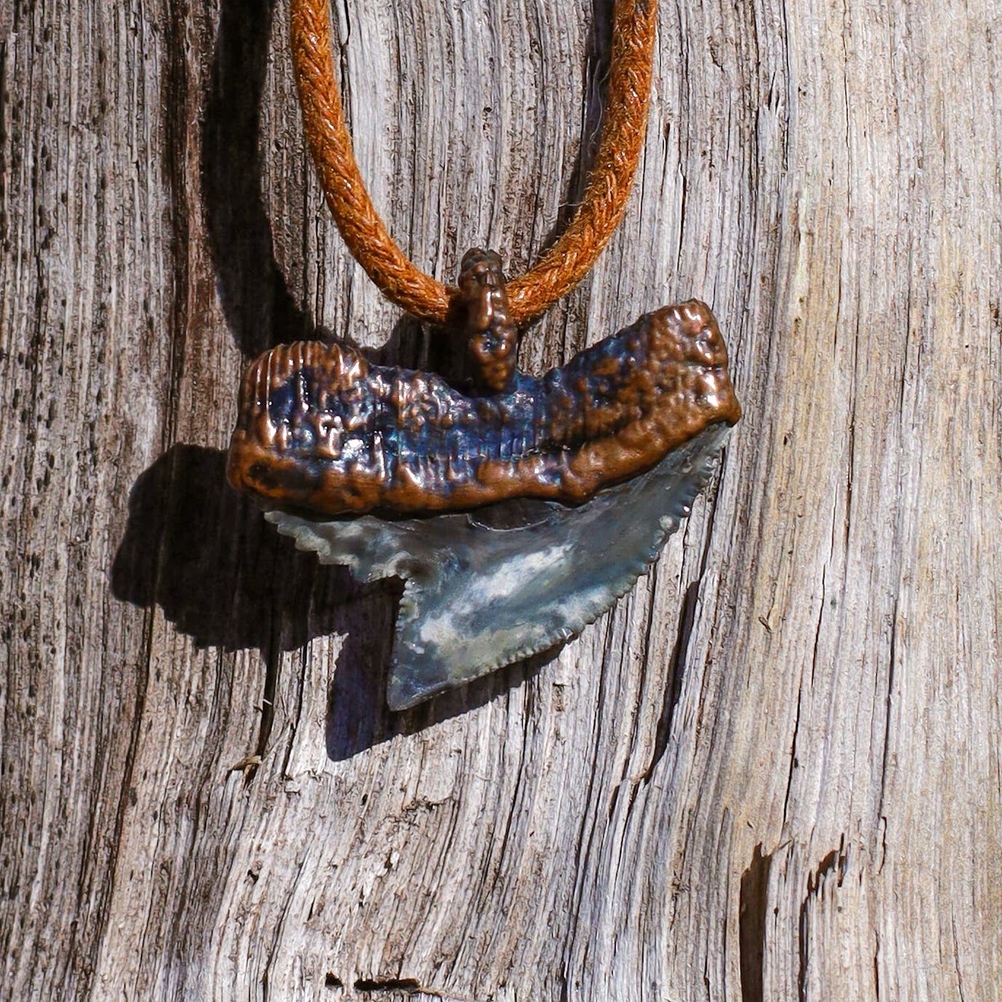 Tiger Shark Tooth Florida Fossil Shark Tooth Copper Pendant Necklace