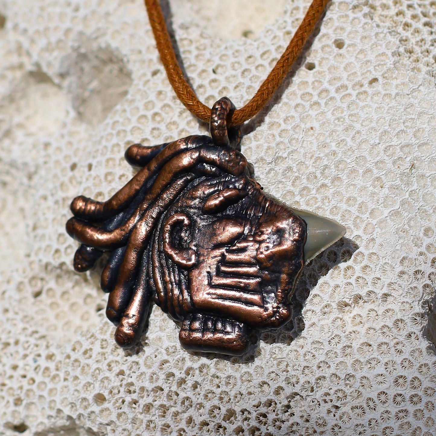 Warrior Sacred Huntsman Collection Florida Fossil Bull Shark Tooth