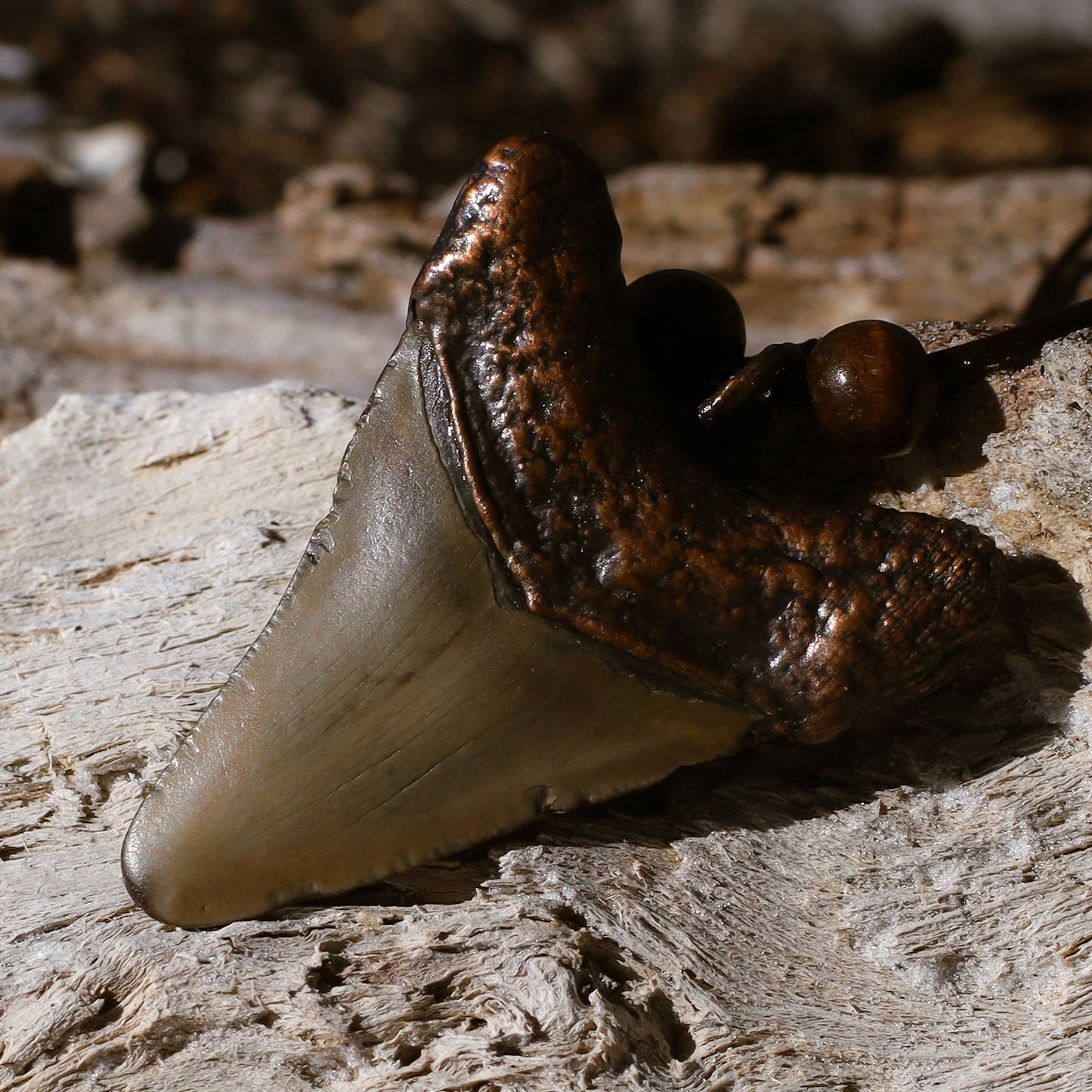 Megalodon Shark Florida Fossil Shark Tooth Copper Pendant Necklace
