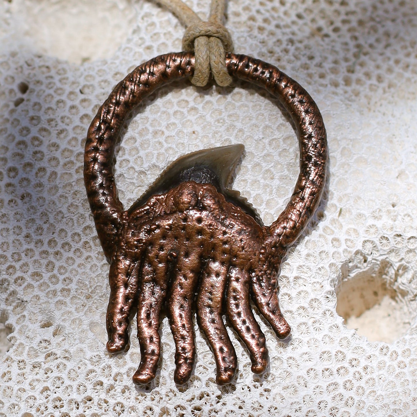 Sacred Huntsman Collection Florida Fossil Tiger Shark Tooth