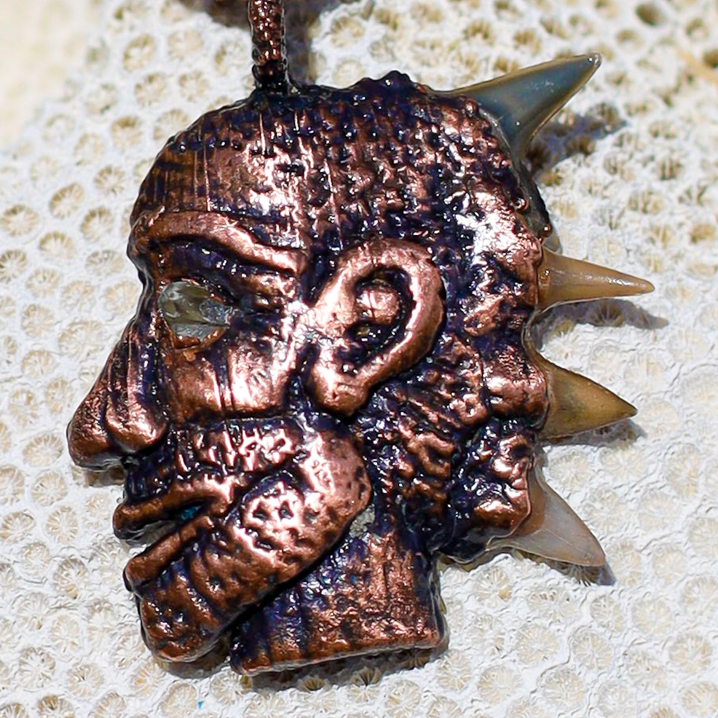 Warrior Sacred Huntsman Collection Florida Calcite Fossil Hammerhead and Lemon Shark Teeth