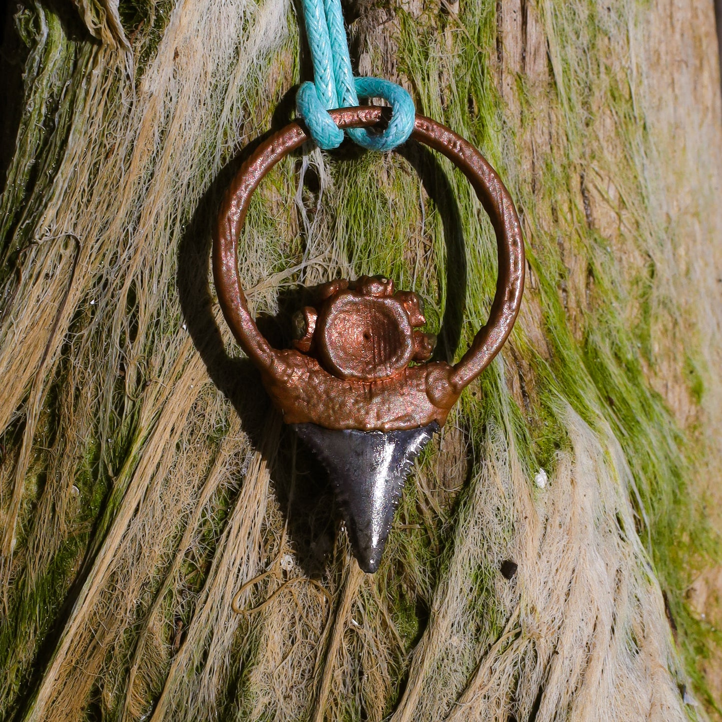 Great White Shark Florida Fossil Shark Tooth Copper Pendant Necklace