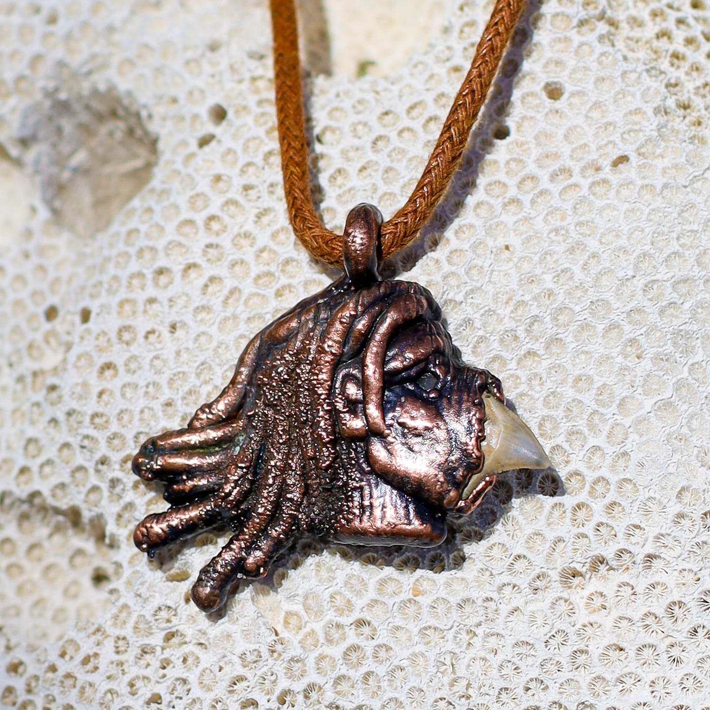 Warrior Sacred Huntsman Collection Florida Fossil Bull Shark Tooth