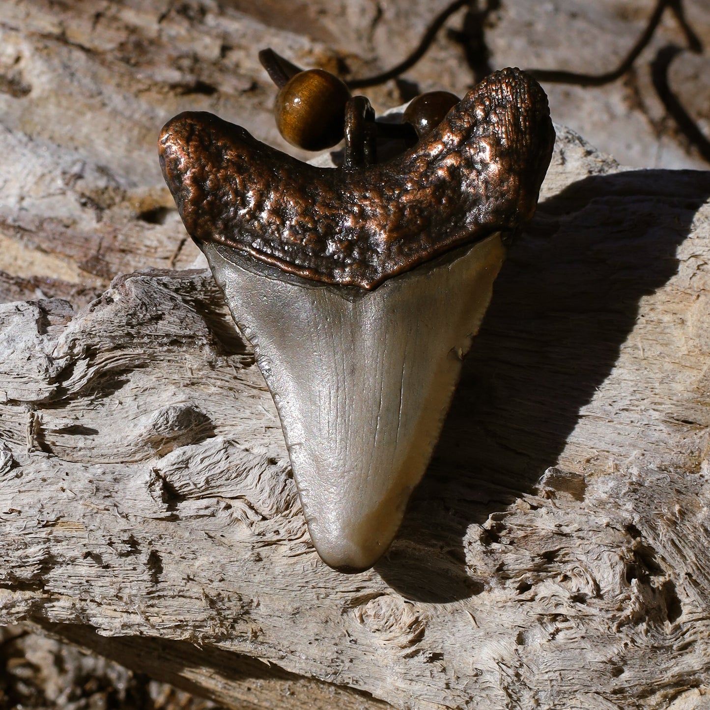 Megalodon Shark Florida Fossil Shark Tooth Copper Pendant Necklace