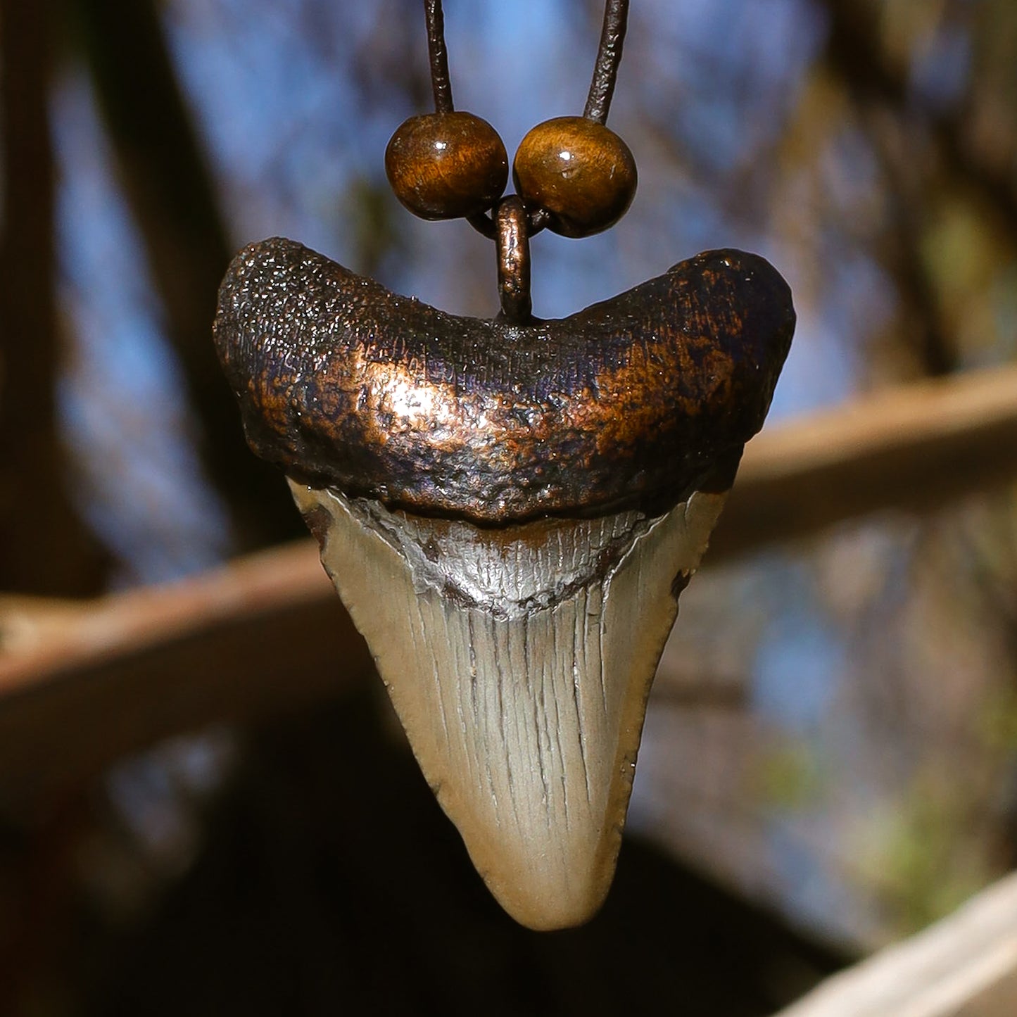 Megalodon Shark Florida Fossil Shark Tooth Copper Pendant Necklace