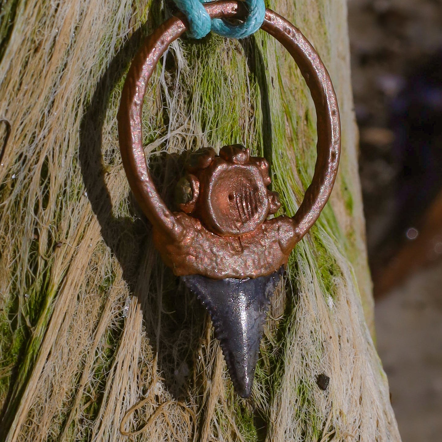 Great White Shark Florida Fossil Shark Tooth Copper Pendant Necklace