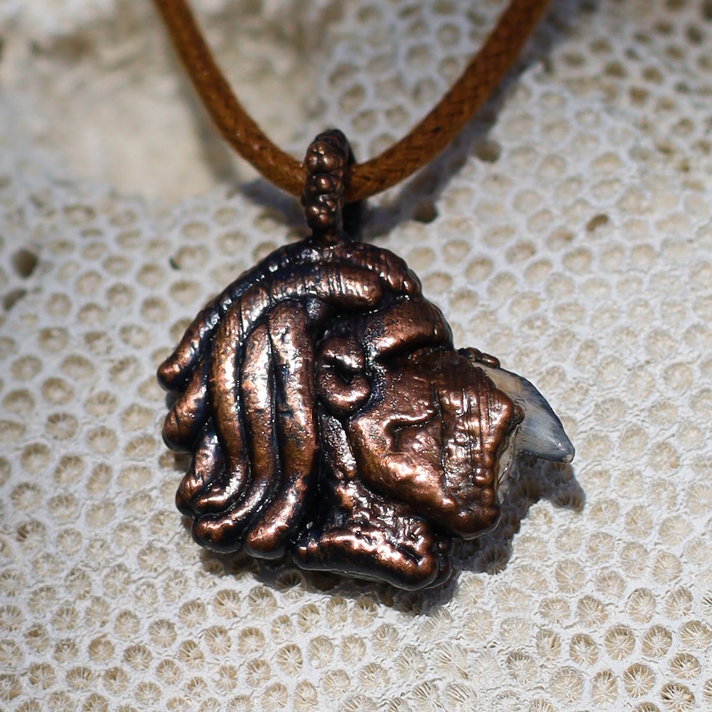 Warrior Sacred Huntsman Collection Florida Fossil Tiger Shark Tooth