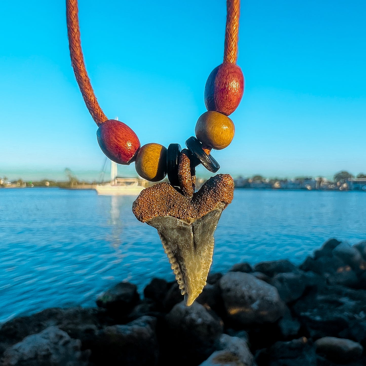 Hemi/Snaggletooth Florida Fossil Shark Tooth Copper Pendant Necklace Beads