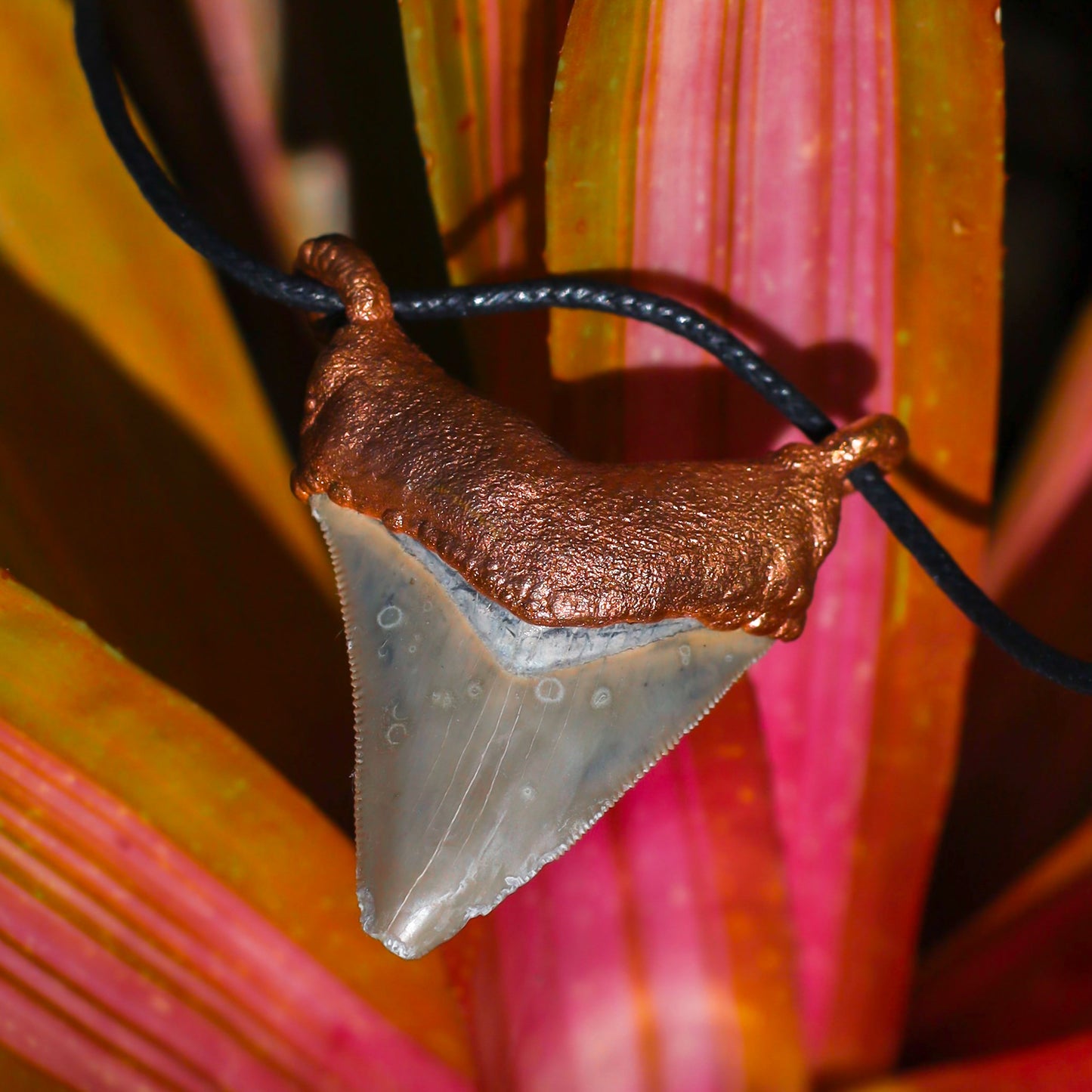 Florida Fossil MEGALODON Shark Tooth Necklace Copper Pendant