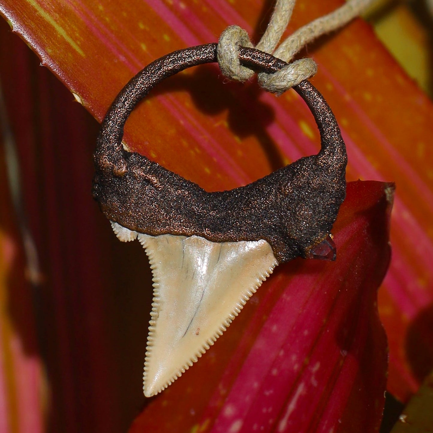 South Carolina Fossil Mako Shark Tooth Necklace Copper Pendant