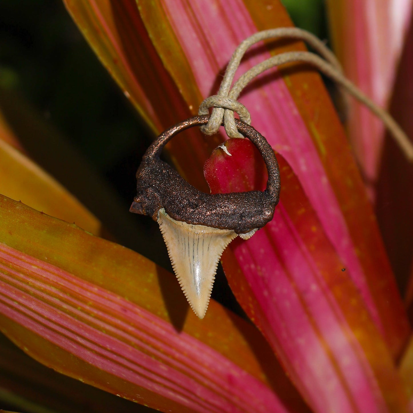 South Carolina Fossil Mako Shark Tooth Necklace Copper Pendant