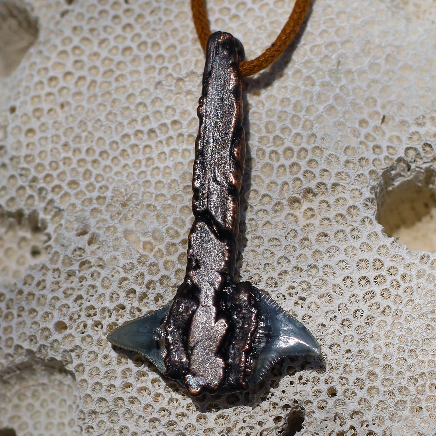Double Headed Shark Tooth Battle Axe Sacred Huntsman Collection Florida Fossil Bull Shark Teeth
