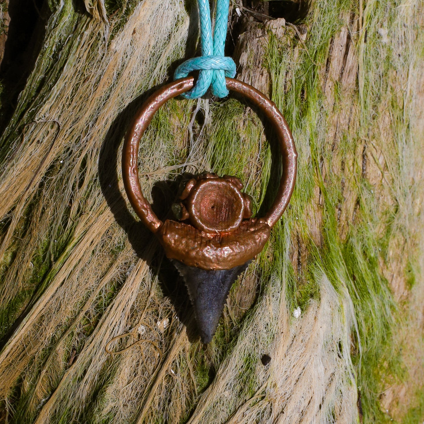Great White Shark Florida Fossil Shark Tooth Copper Pendant Necklace