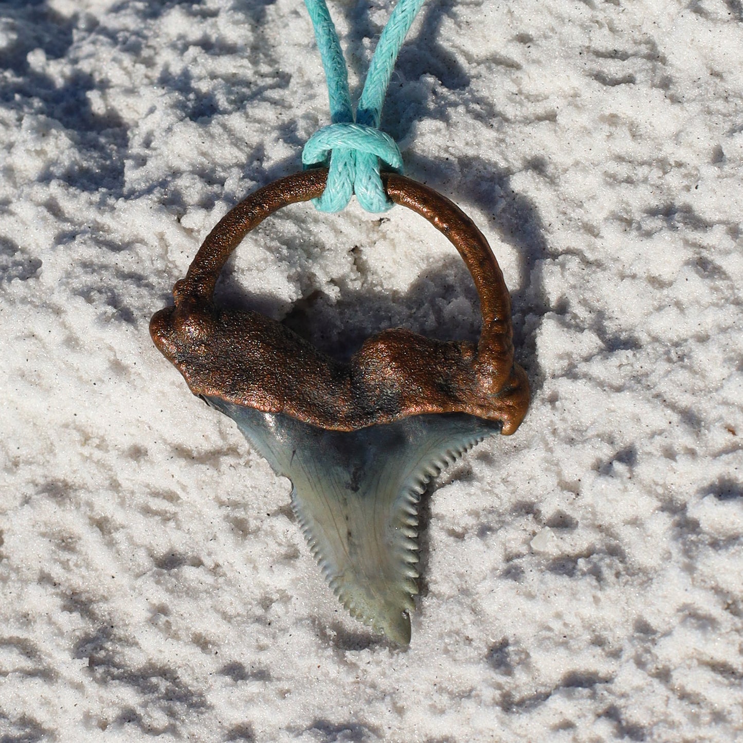 Hemi/Snaggletooth Florida Fossil Shark Tooth Copper Pendant Necklace