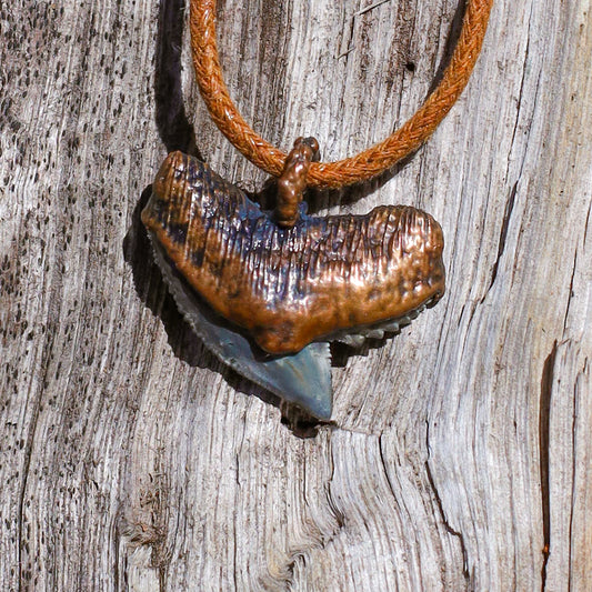 Tiger Shark Tooth Florida Fossil Shark Tooth Copper Pendant Necklace