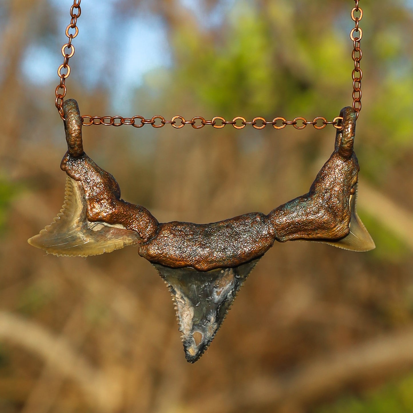 Great White, Hemi/Snaggletooth, Bull Florida Fossil Shark  Tooth Copper Pendant Chain Necklace
