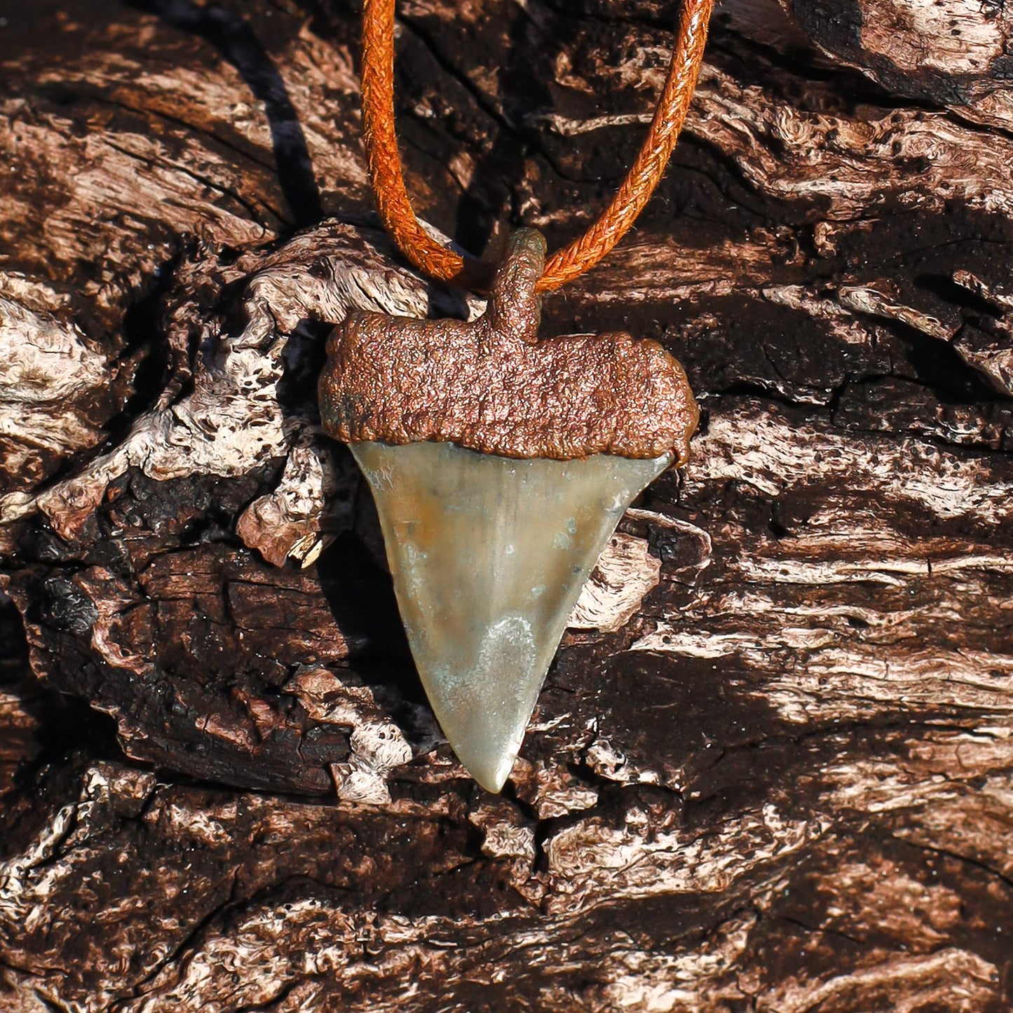 Mako Shark Tooth Florida Fossil Shark Tooth Copper Pendant Necklace