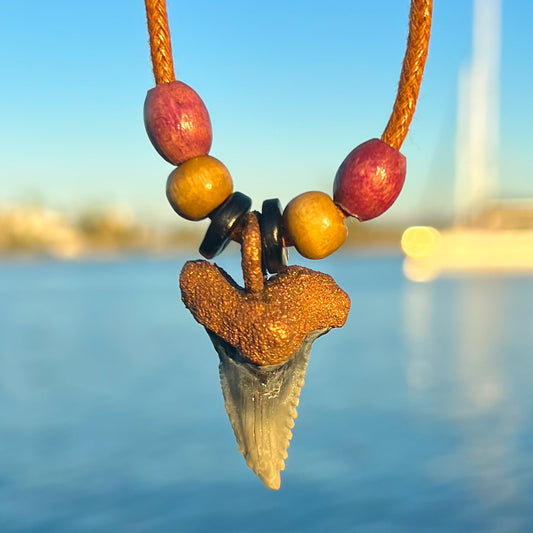 Hemi/Snaggletooth Florida Fossil Shark Tooth Copper Pendant Necklace Beads