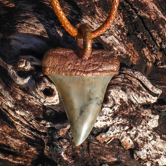Mako Shark Tooth Florida Fossil Shark Tooth Copper Pendant Necklace