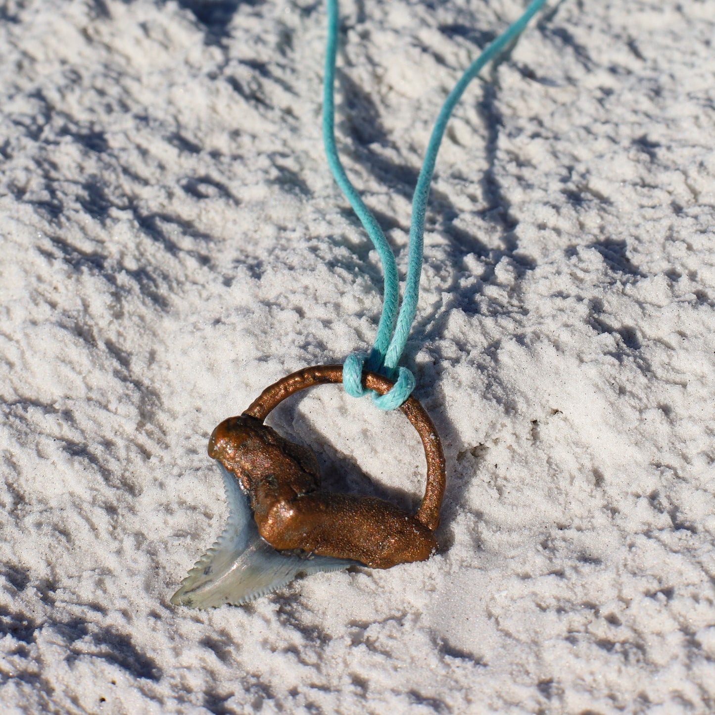 Hemi/Snaggletooth Florida Fossil Shark Tooth Copper Pendant Necklace