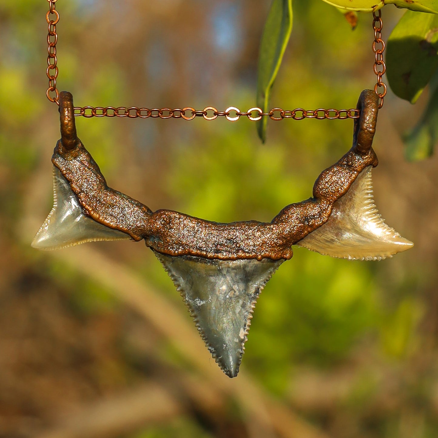 Great White, Hemi/Snaggletooth, Bull Florida Fossil Shark  Tooth Copper Pendant Chain Necklace